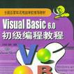 Visual Basic6.0初级编程教程