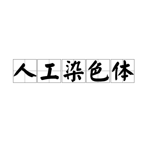 人工染色体