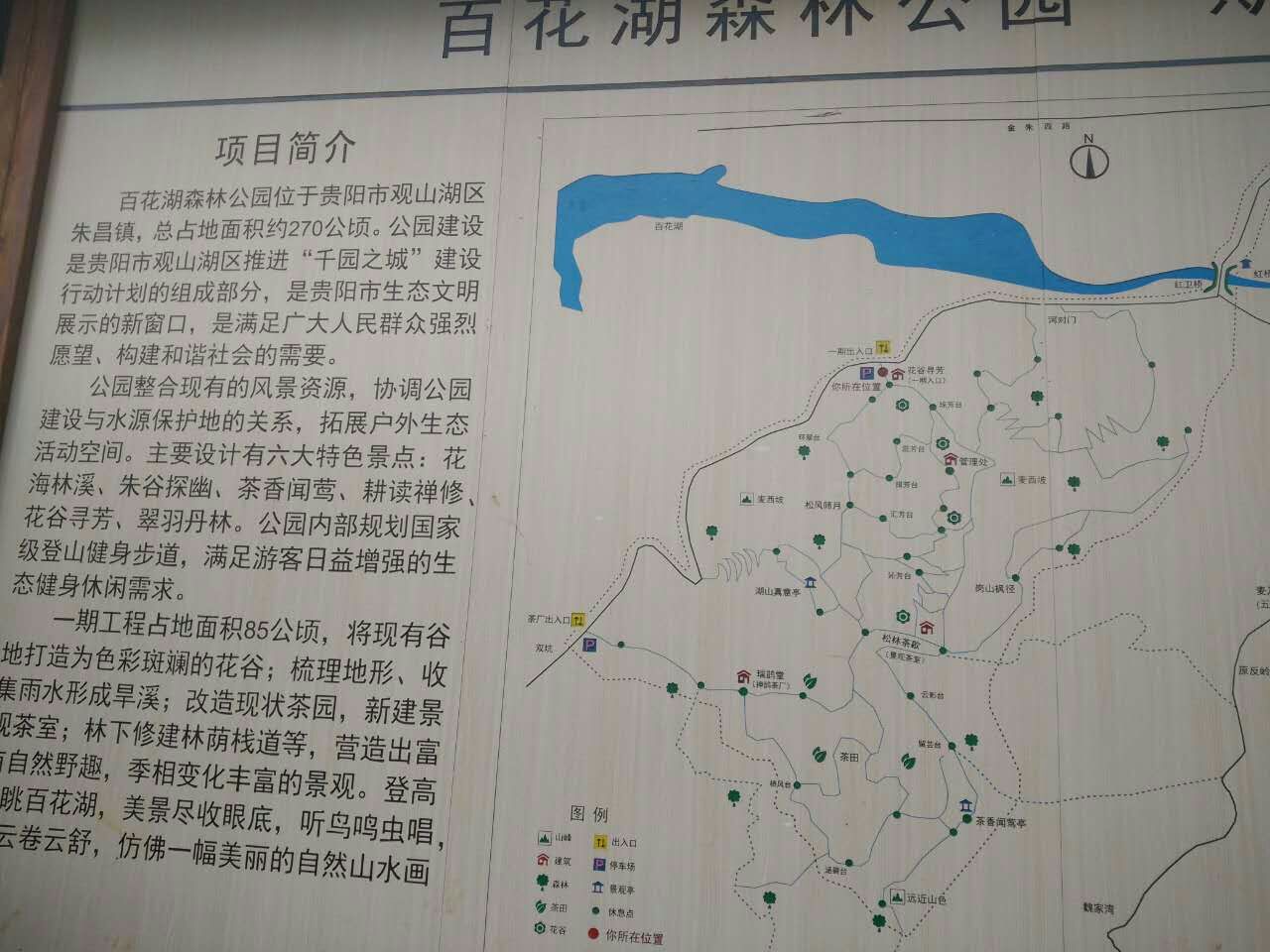 百花湖森林公园 百花湖森林公园