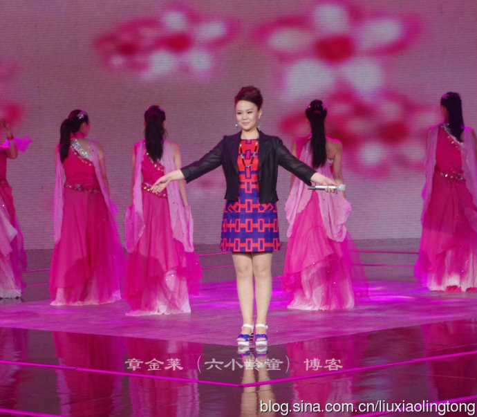 吴静(西游记《女儿情》原唱)