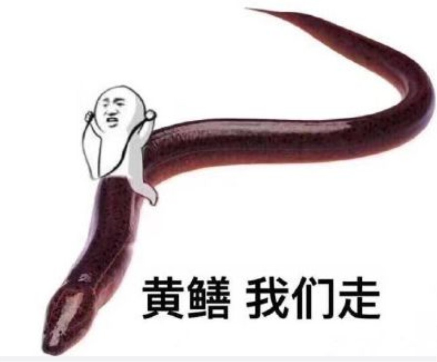 黄鳝我们走