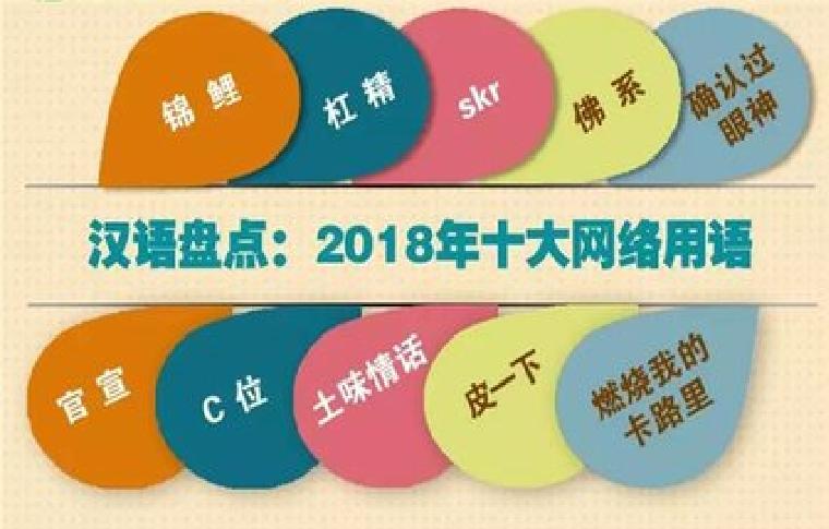 2018年度十大网路用语