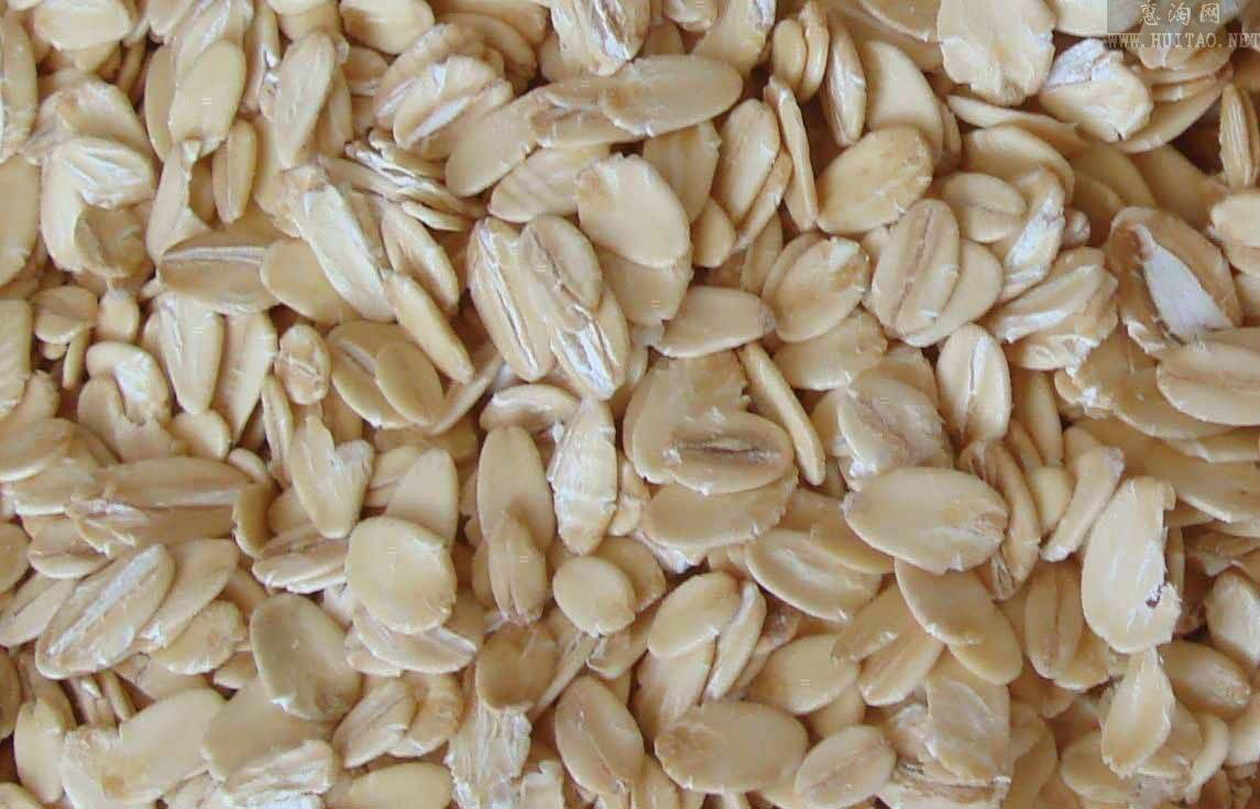 燕麦 燕麦