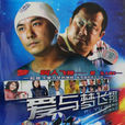 爱与梦飞翔(叶伟民执导电影)