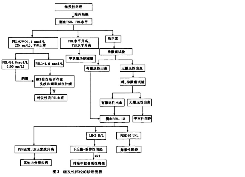 闭经 闭经
