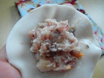 花式广东烧卖 花式广东烧卖