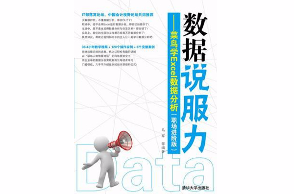 数据说服力——菜鸟学Excel数据分析（职场进阶版）