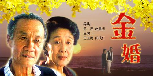 金婚(王坪执导电影)
