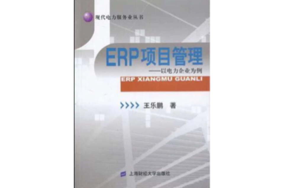 ERP项目管理