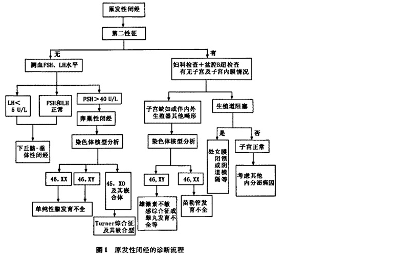 闭经 闭经