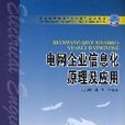 电网企业信息化原理及套用