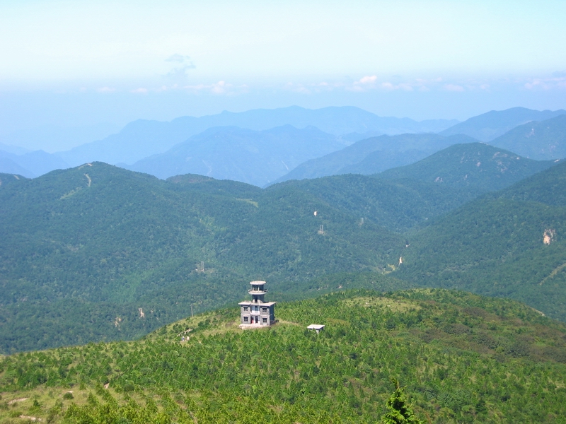 庆元县 庆元县
