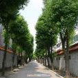华东村(浙江省绍兴市上虞区沥海镇下辖村)