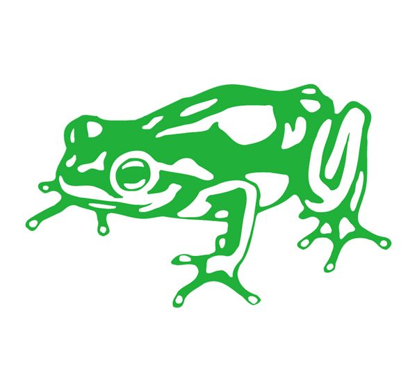 frog(美国创意设计公司)