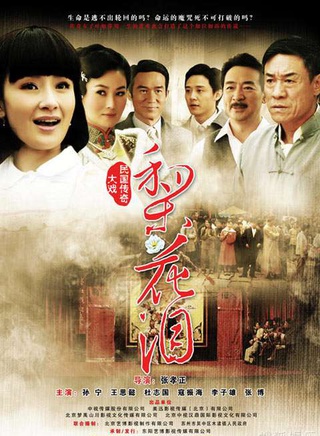 高洋(中国内地女演员)