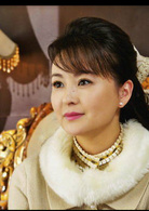 烽火儿女情(2011年刘恺威主演民国情感剧)