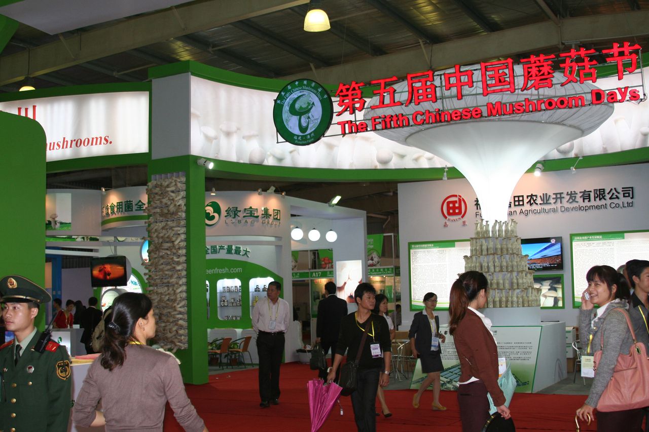 第五届蘑菇节 第五届蘑菇节