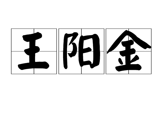 王阳金