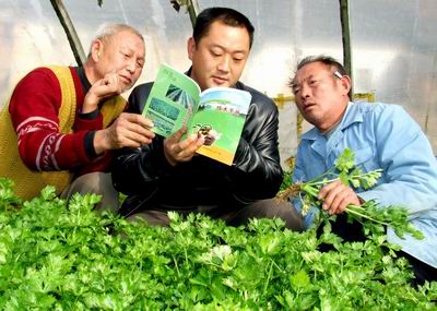 蔬菜防冻指导 蔬菜防冻指导