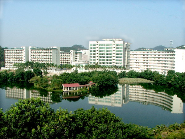 东丽A区 东丽A区