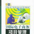 国际电子商务项目管理