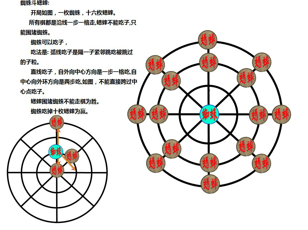 蜘蛛斗蟋蟀 蜘蛛斗蟋蟀