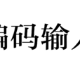 编码输入