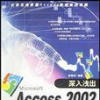 深入浅出Access2002资料库实例开发