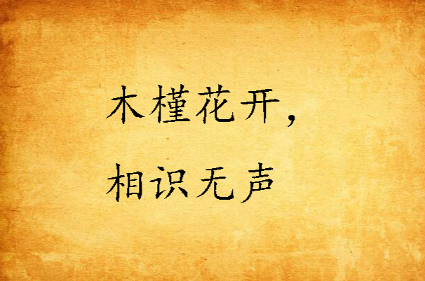 木槿花开，相识无声
