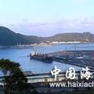 宜兰俗语