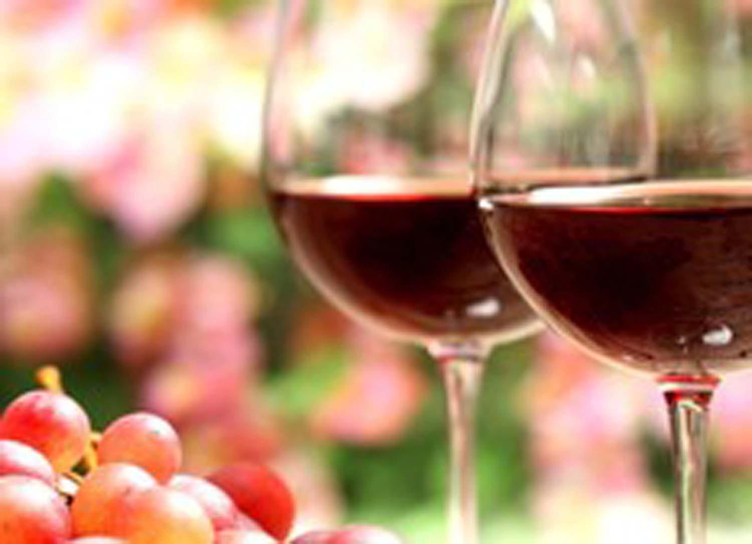 Good Wine Good Wine
