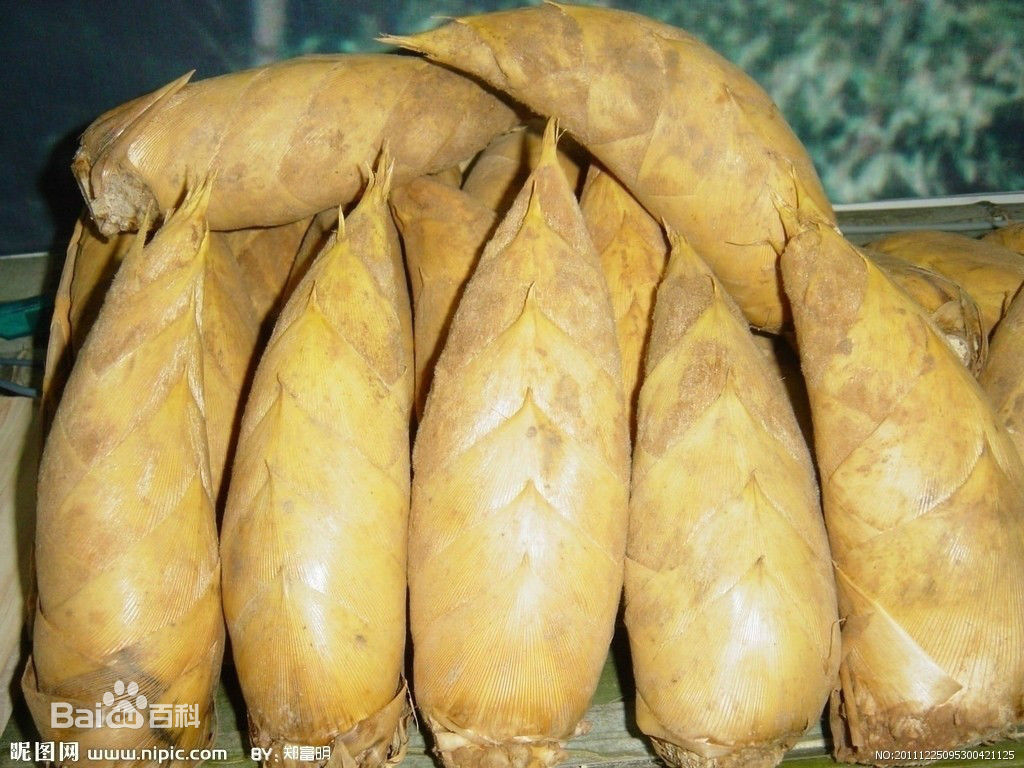 天下第一笋