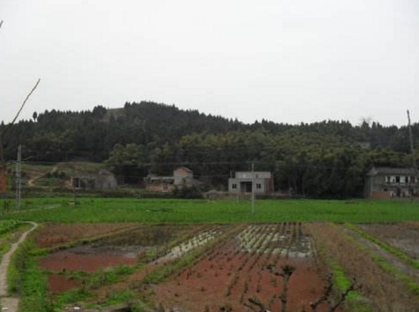 回龙镇 回龙镇
