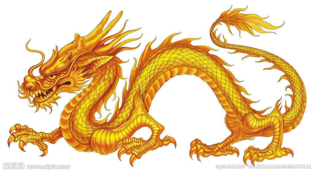 金龙