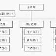 项目组织