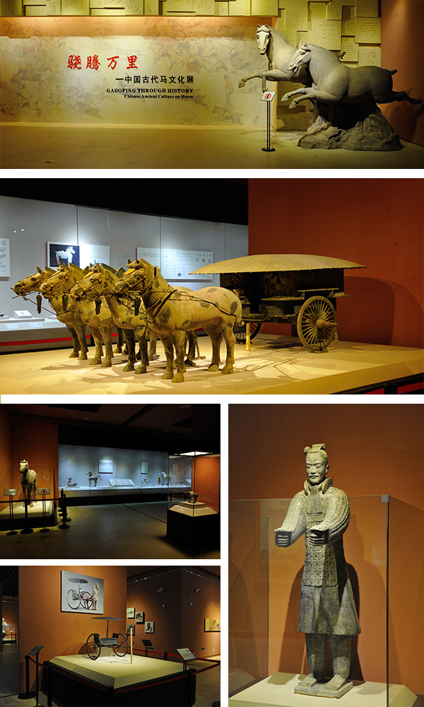 中国古代马文化展 中国古代马文化展