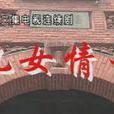 儿女情长(1996年石晓华执导电视剧)