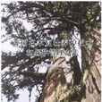 西安市古树名木保护管理办法（2004修订）