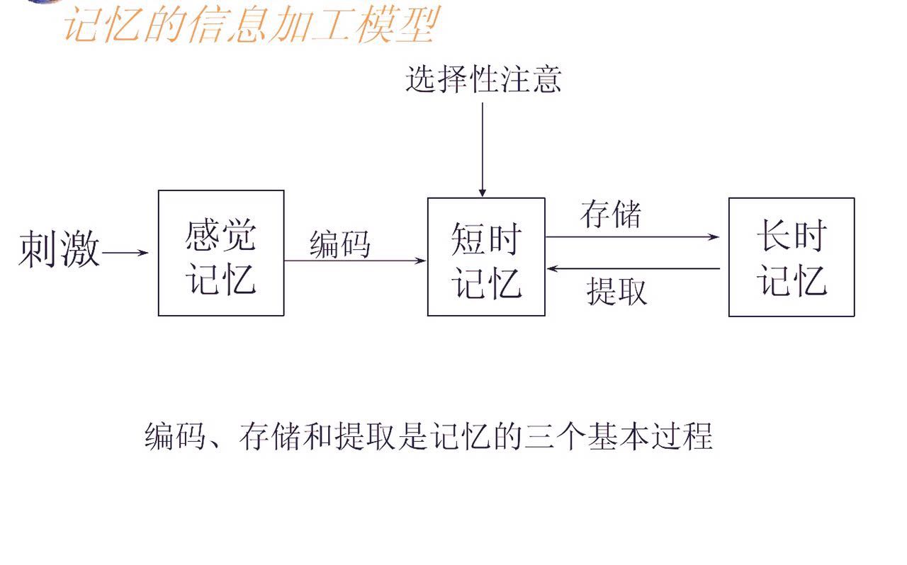 感觉记忆 感觉记忆