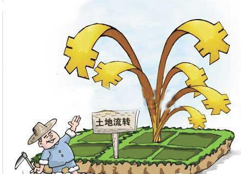 农村土地流转