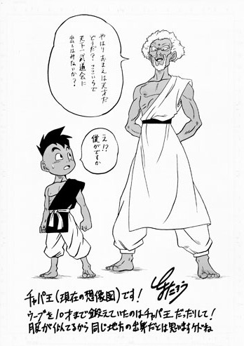 柴巴王 柴巴王