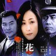 花非花(高希希导演大陆电视剧)