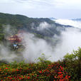 阳明山(台湾境内山峰)