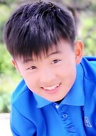 暴雪将至(2017年段奕宏主演电影)
