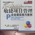 敏捷项目管理：企业级实践与案例