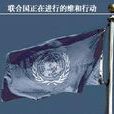 联合国象牙海岸行动