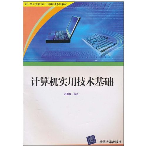 审计署计算机审计中级培训系列教材：计算机实用技术基础