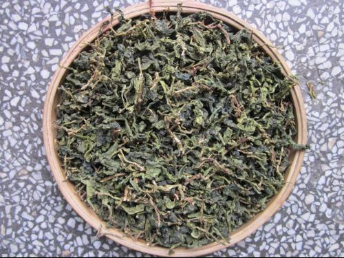 安溪苦茶