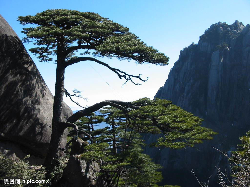 安徽黄山 安徽黄山