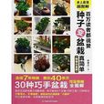 百万读者都说赞：种子变盆栽真简单